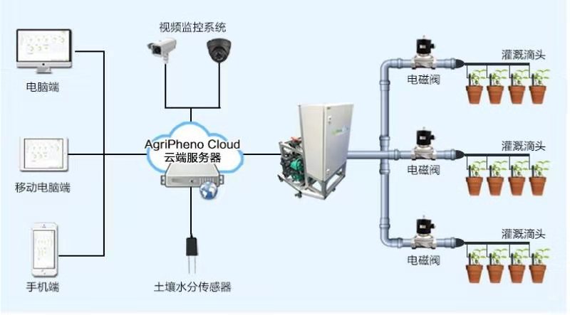 现代农业的绿色革命：水肥一体化技术的应用与展望